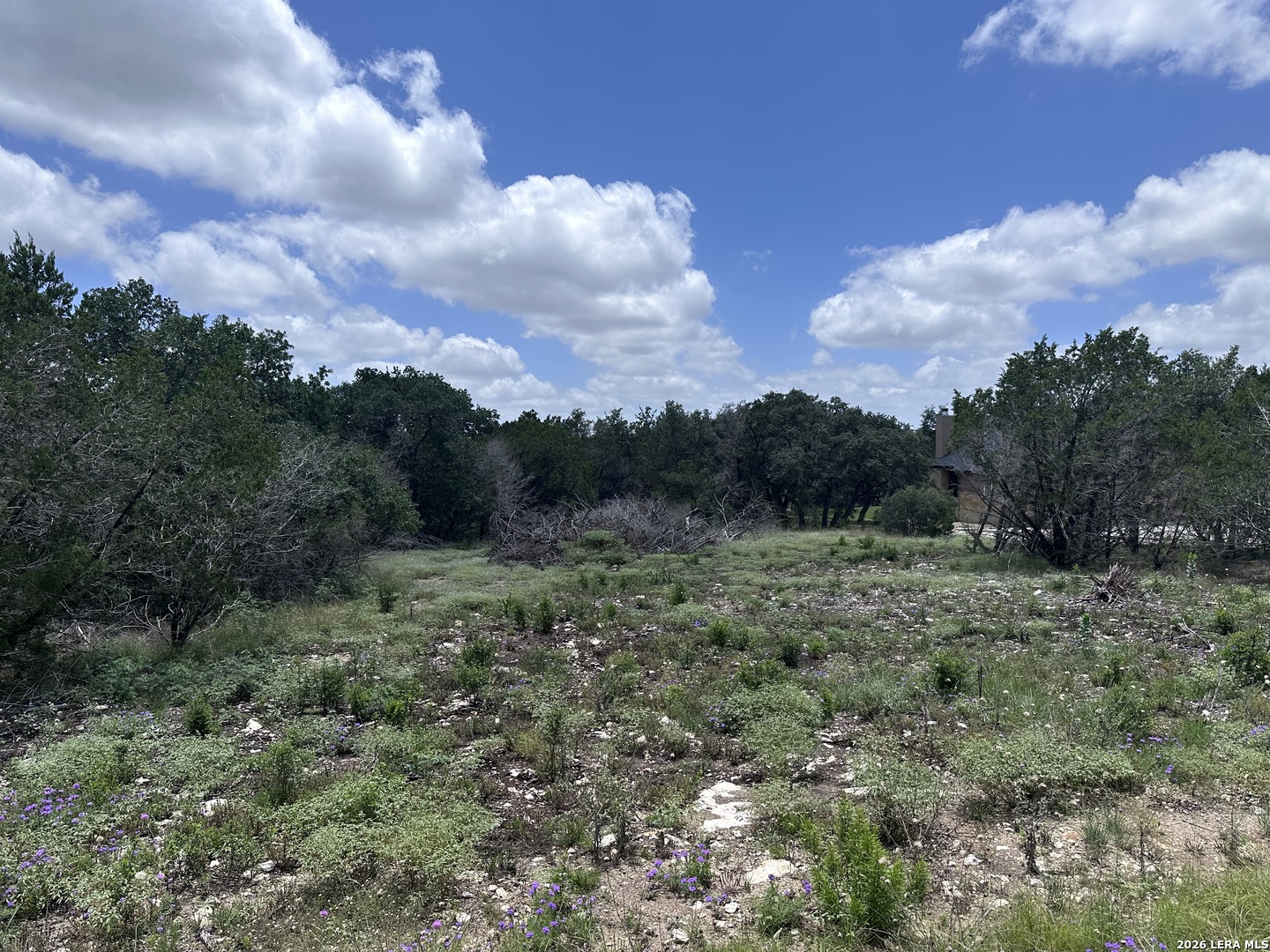 947 Serene Park Drive Spring Branch TX 78070