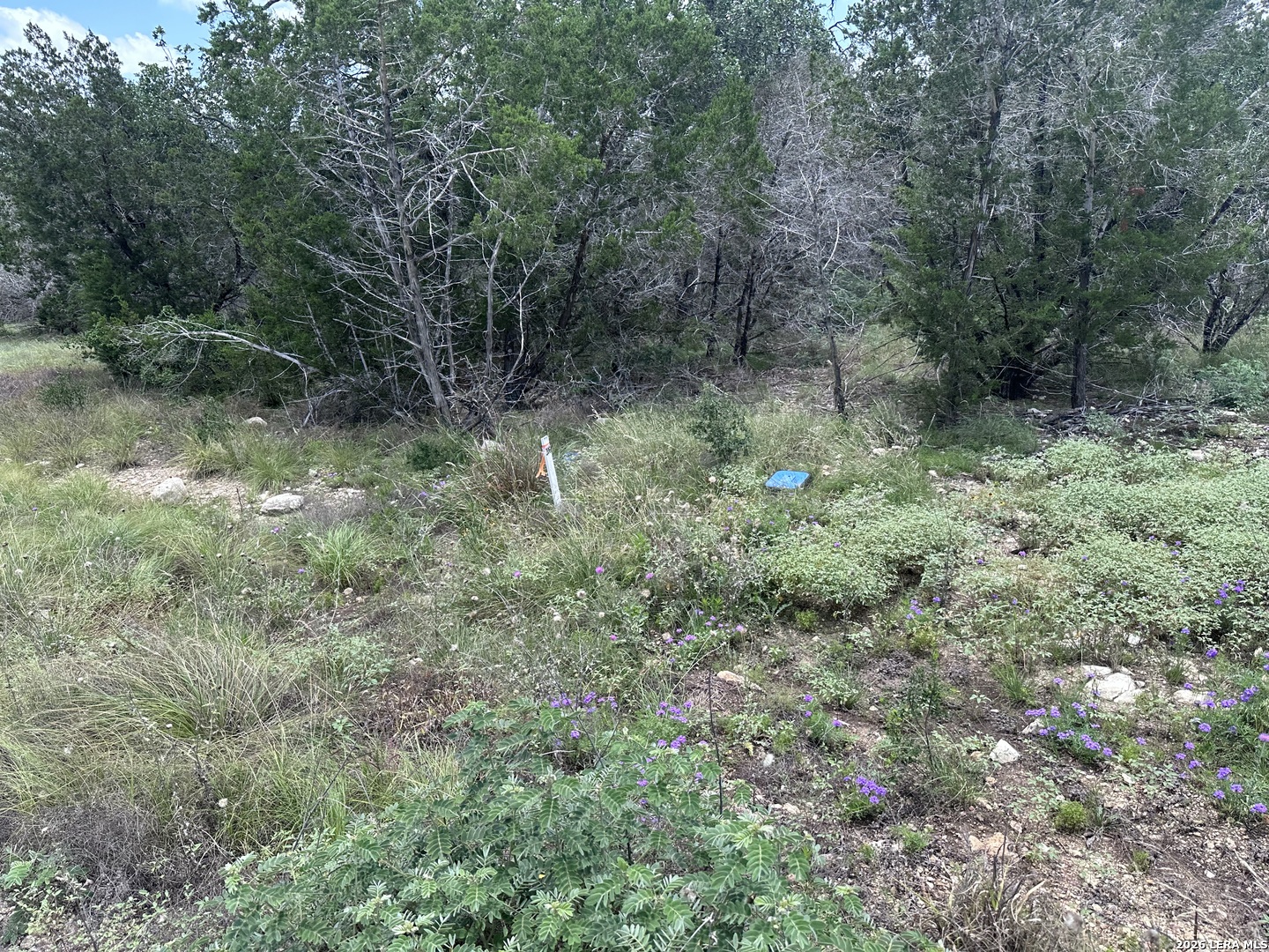947 Serene Park Drive Spring Branch TX 78070