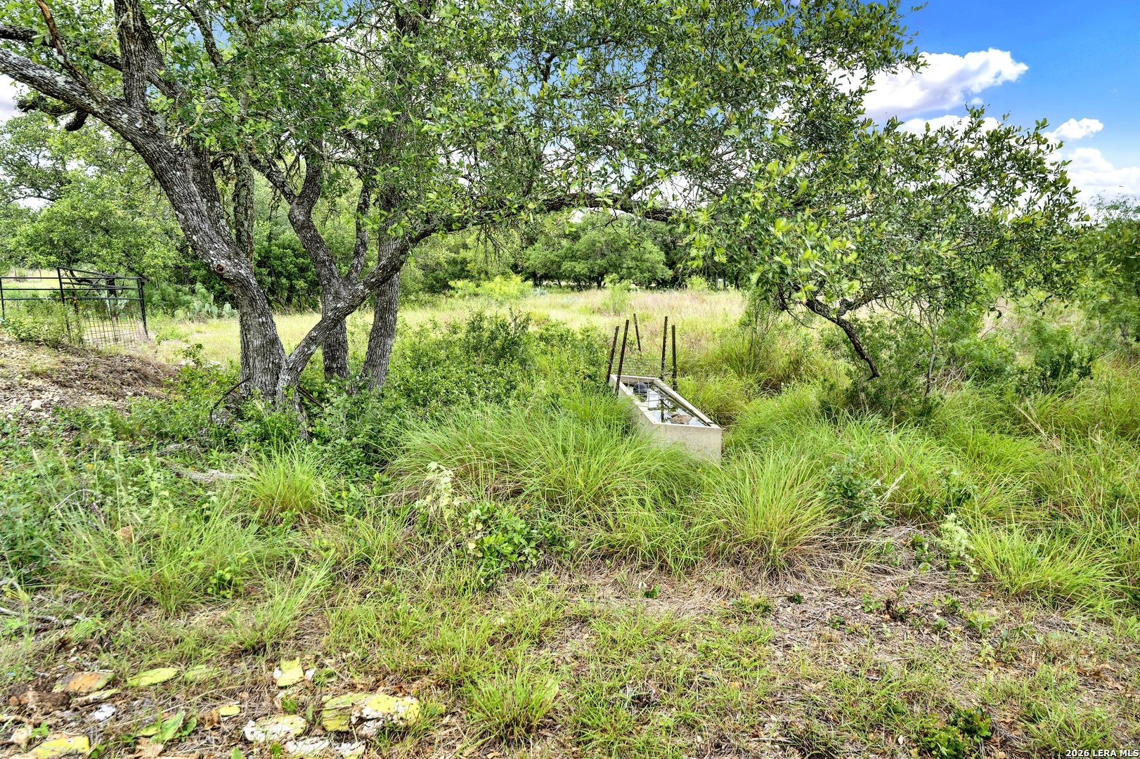 0 Fm 1796 Dhanis TX 78850