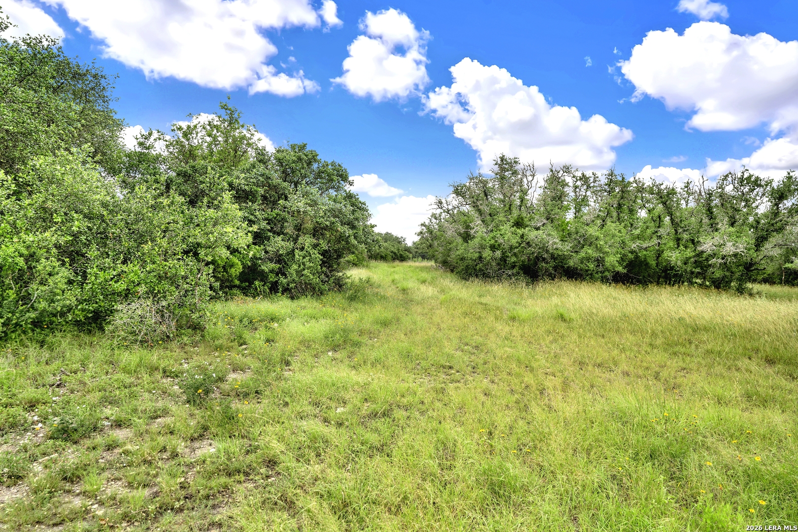 0 Fm 1796 Dhanis TX 78850