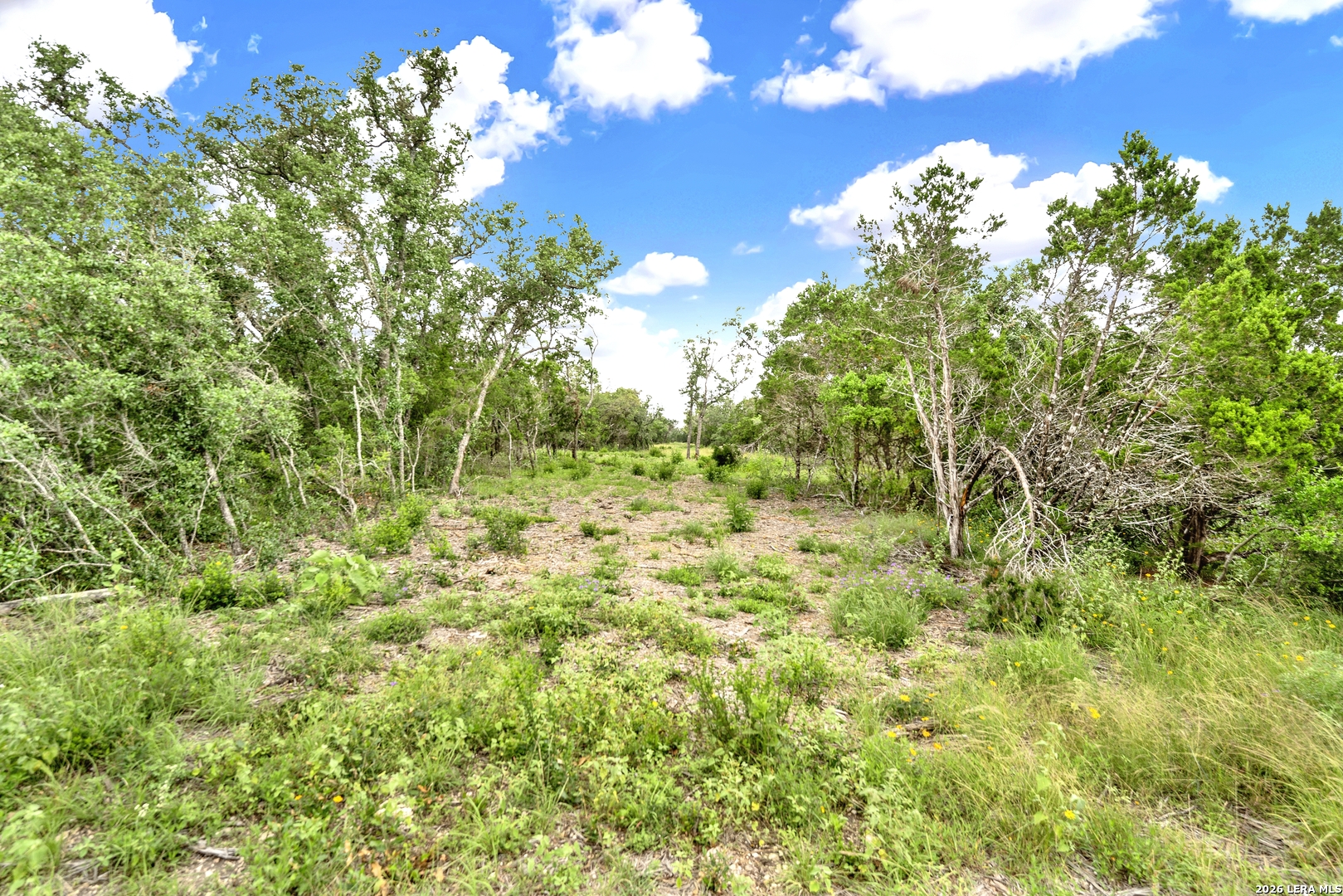 0 Fm 1796 Dhanis TX 78850