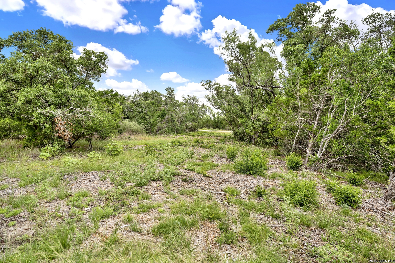 0 Fm 1796 Dhanis TX 78850