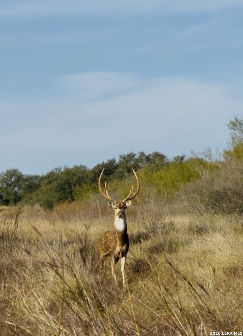 0 Fm 1796 Dhanis TX 78850