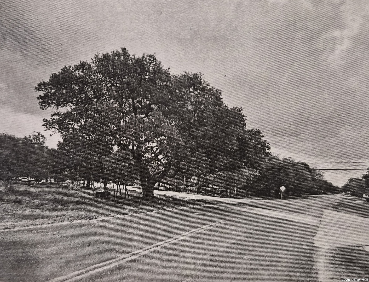 10231 Commerce Atascosa TX 78002