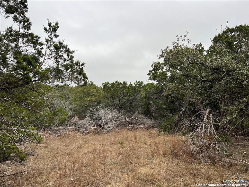713 Stagecoach Trail Spring Branch TX 78070