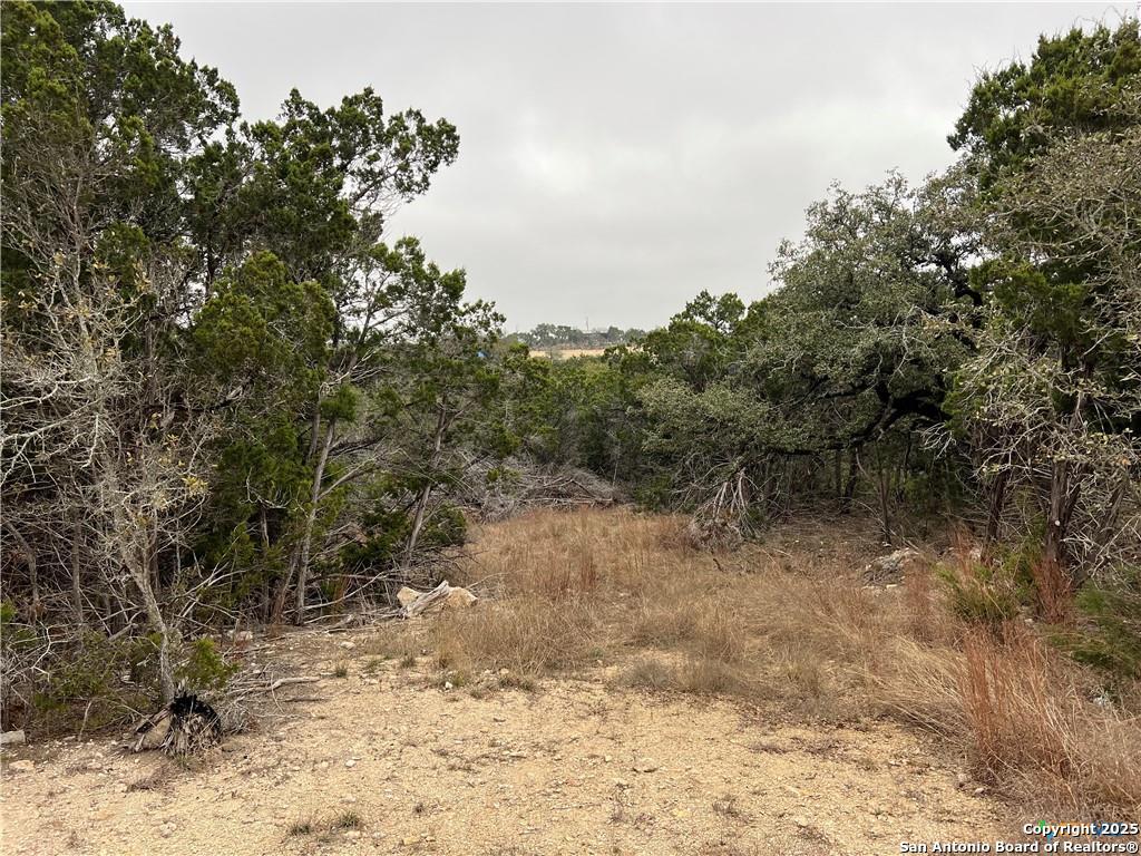 713 Stagecoach Trail Spring Branch TX 78070