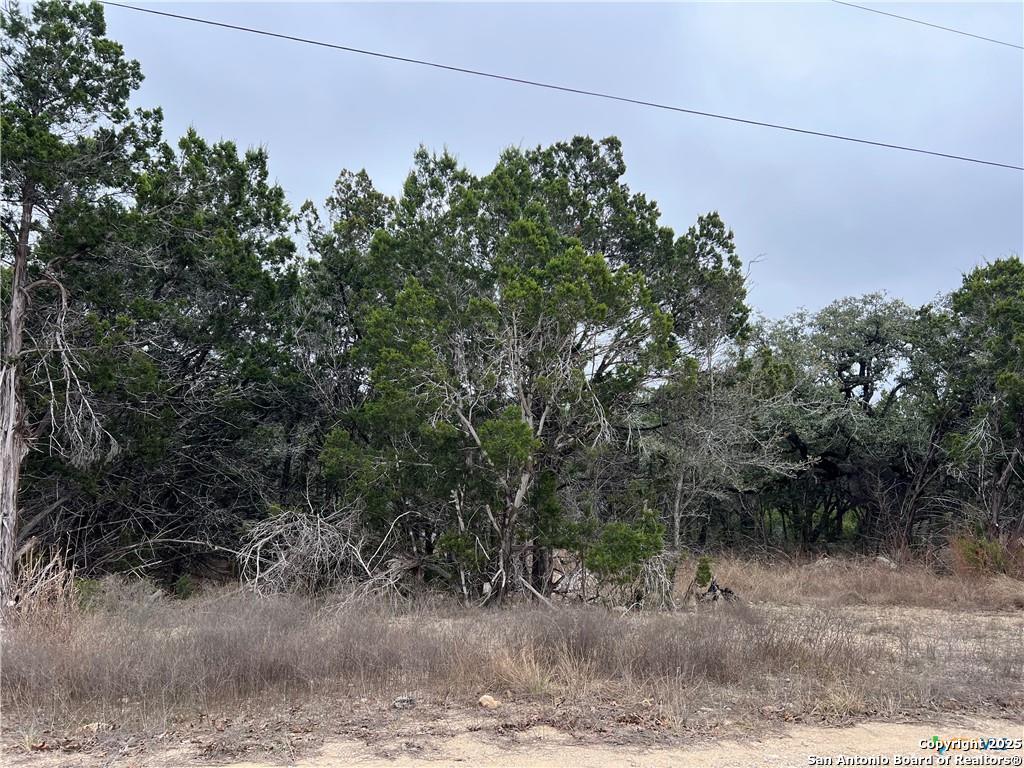 713 Stagecoach Trail Spring Branch TX 78070