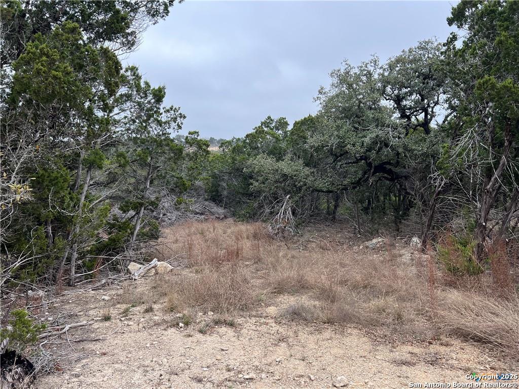 713 Stagecoach Trail Spring Branch TX 78070