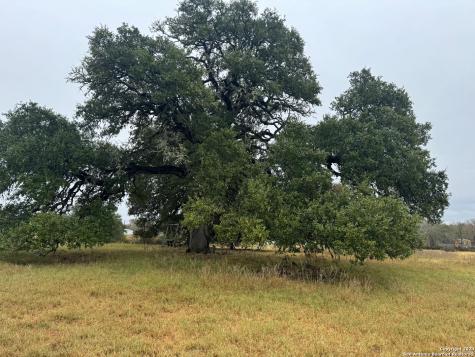3841 E State Highway 159 Lagrange TX 78945