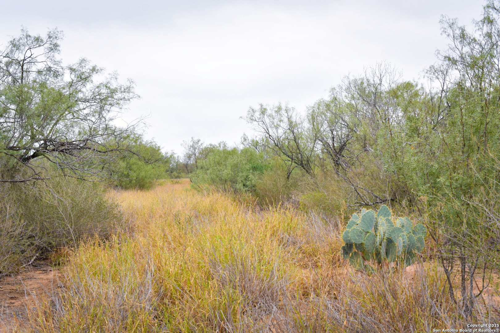 000 Jefferies Road Laredo TX 78045