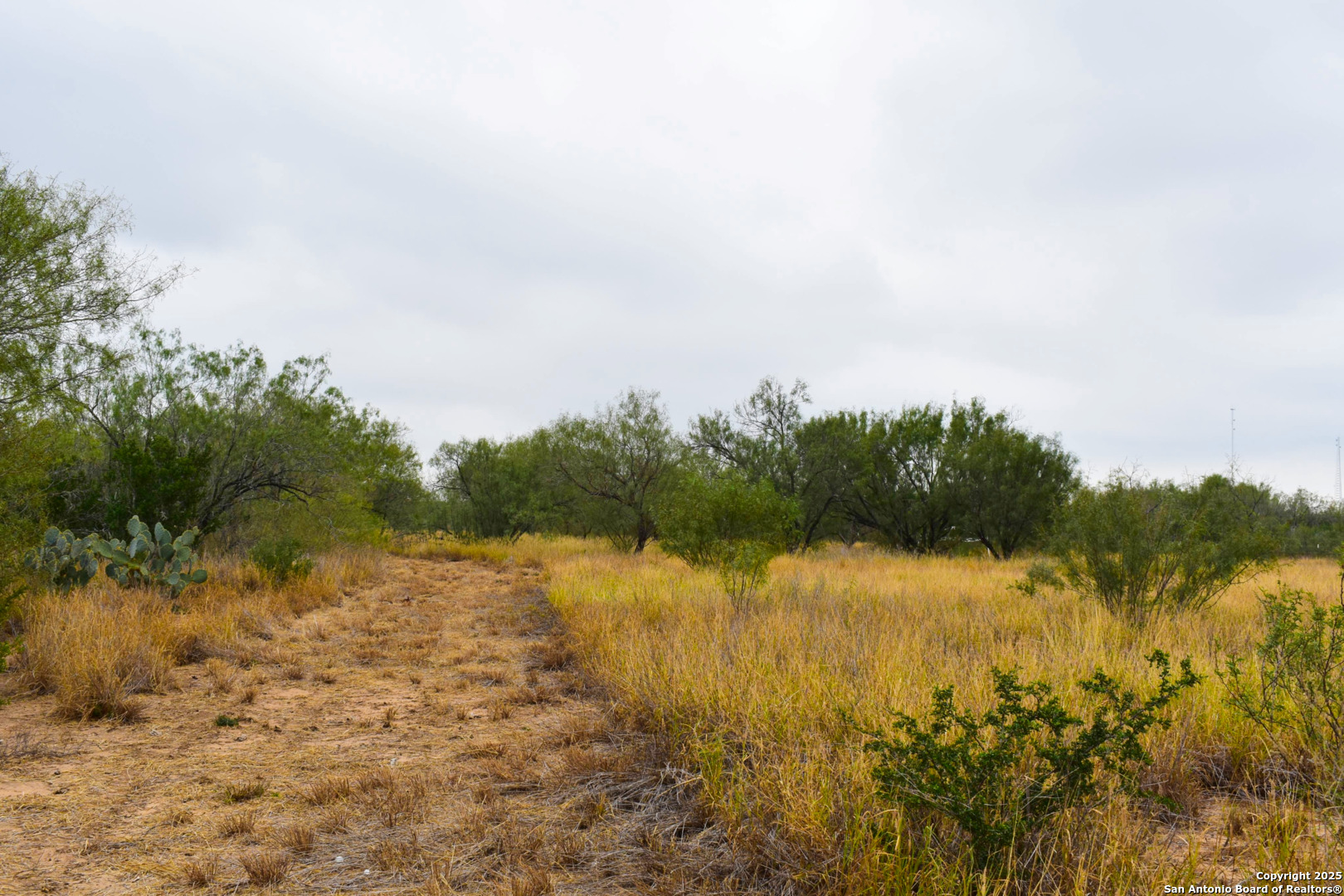 000 Jefferies Road Laredo TX 78045