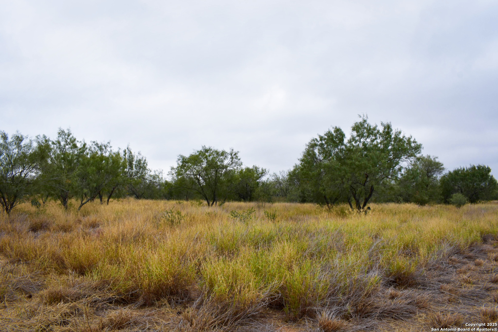 000 Jefferies Road Laredo TX 78045