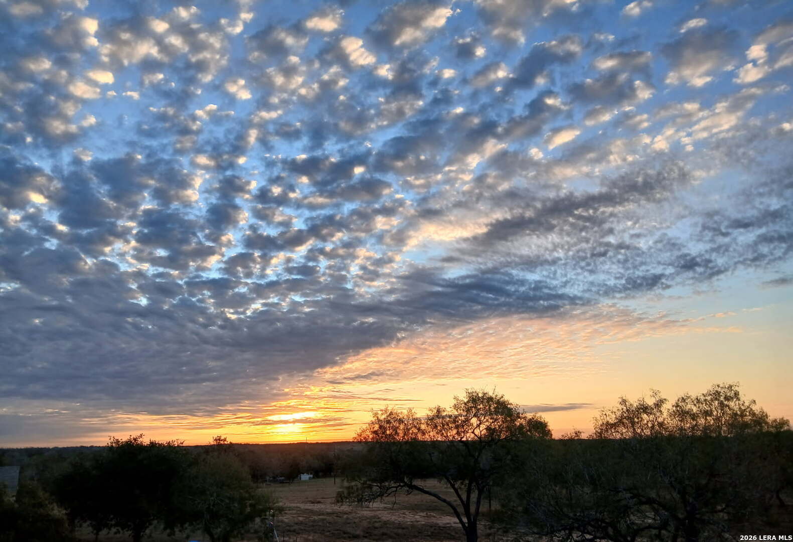 Tbd 10.16 Ac Dowdy Seguin TX 78155