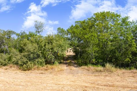 5440 Highway 123 Seguin TX 78155