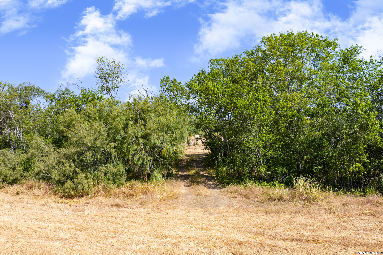 5440 Highway 123 Seguin TX 78155