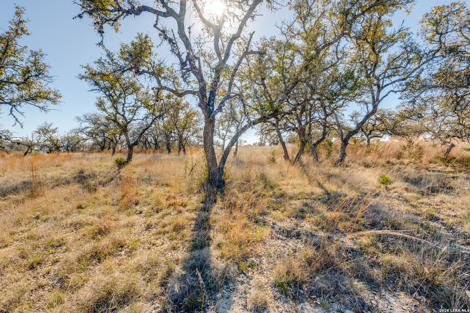 Lot 19 Greco Bend Boerne TX 78006