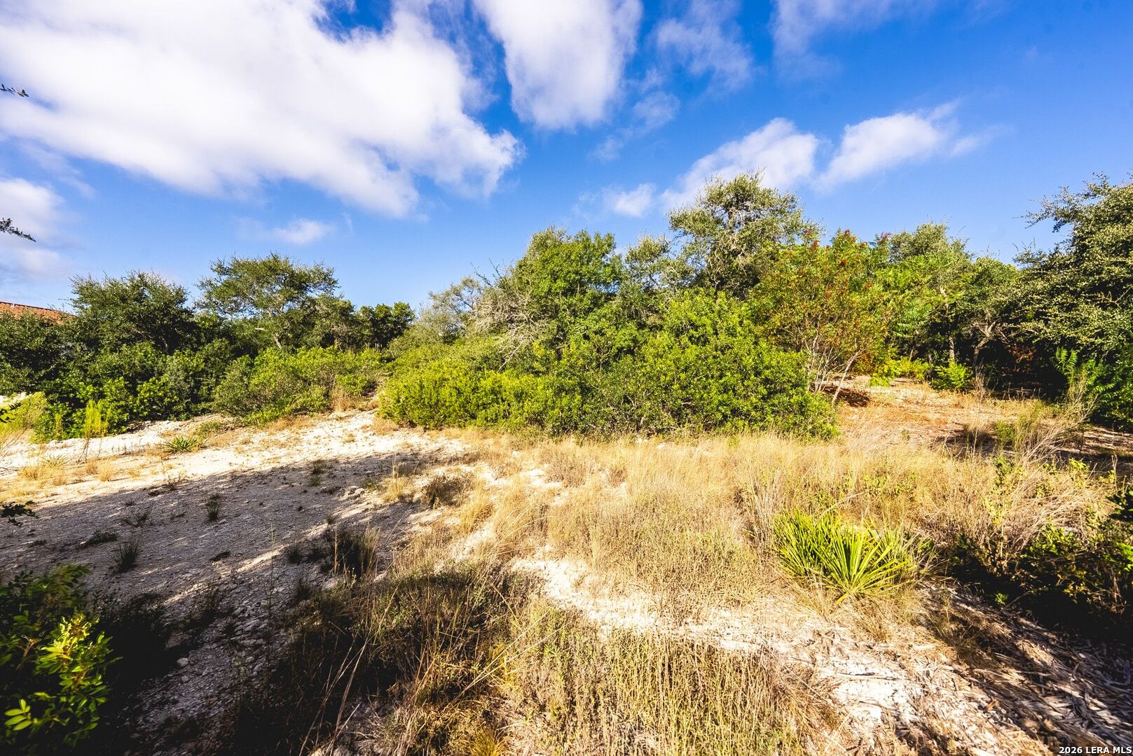 22611 Tess Valley San Antonio TX 78255