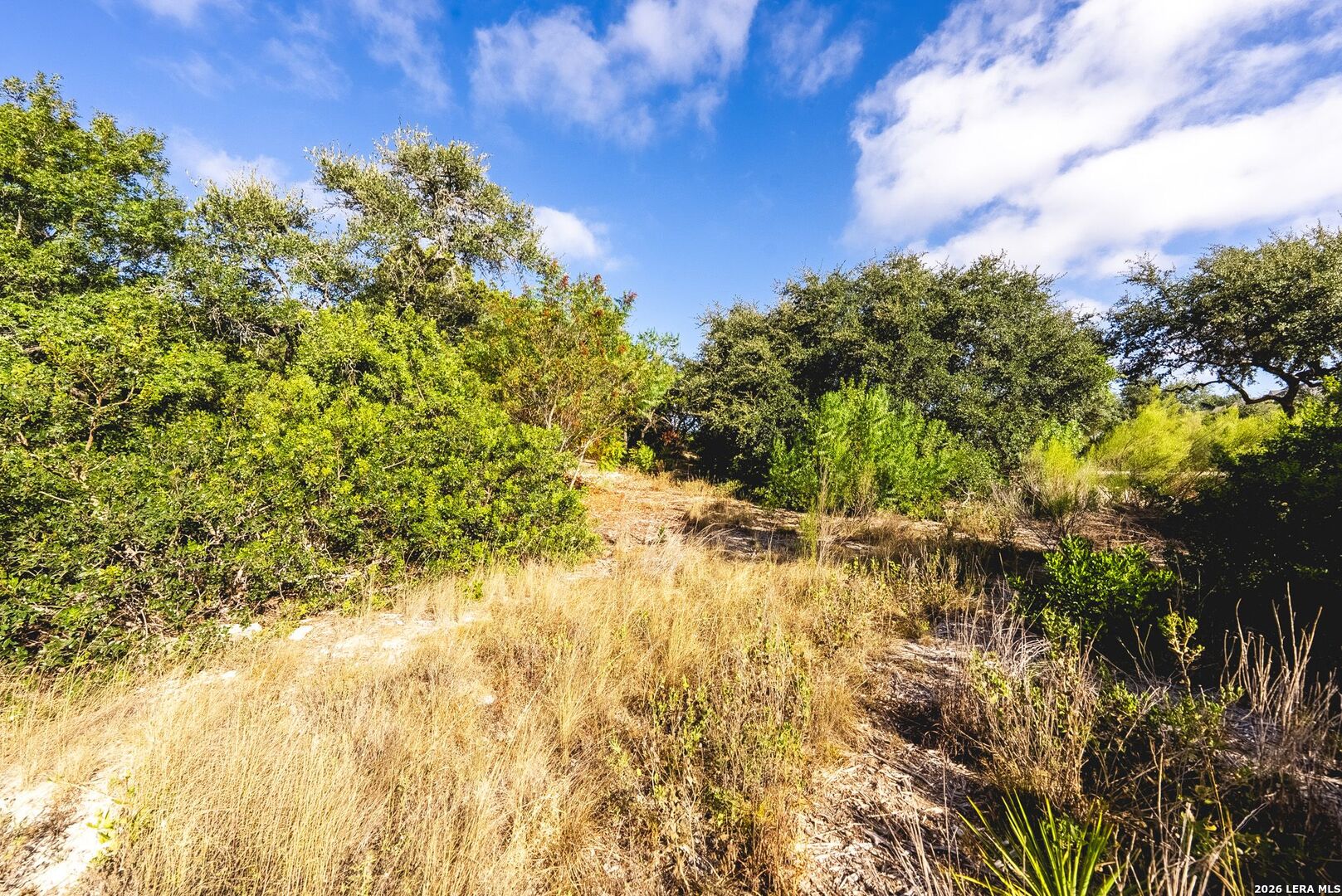 22611 Tess Valley San Antonio TX 78255