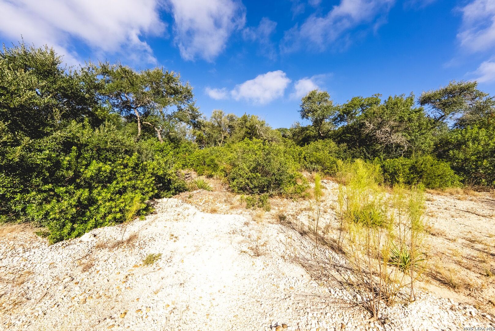 22611 Tess Valley San Antonio TX 78255