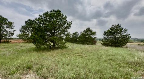 180 Santa Gertrudis Drive Sutherland Springs TX 78161