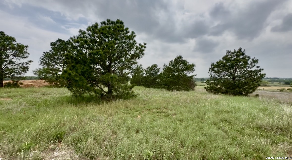 180 Santa Gertrudis Drive Sutherland Springs TX 78161