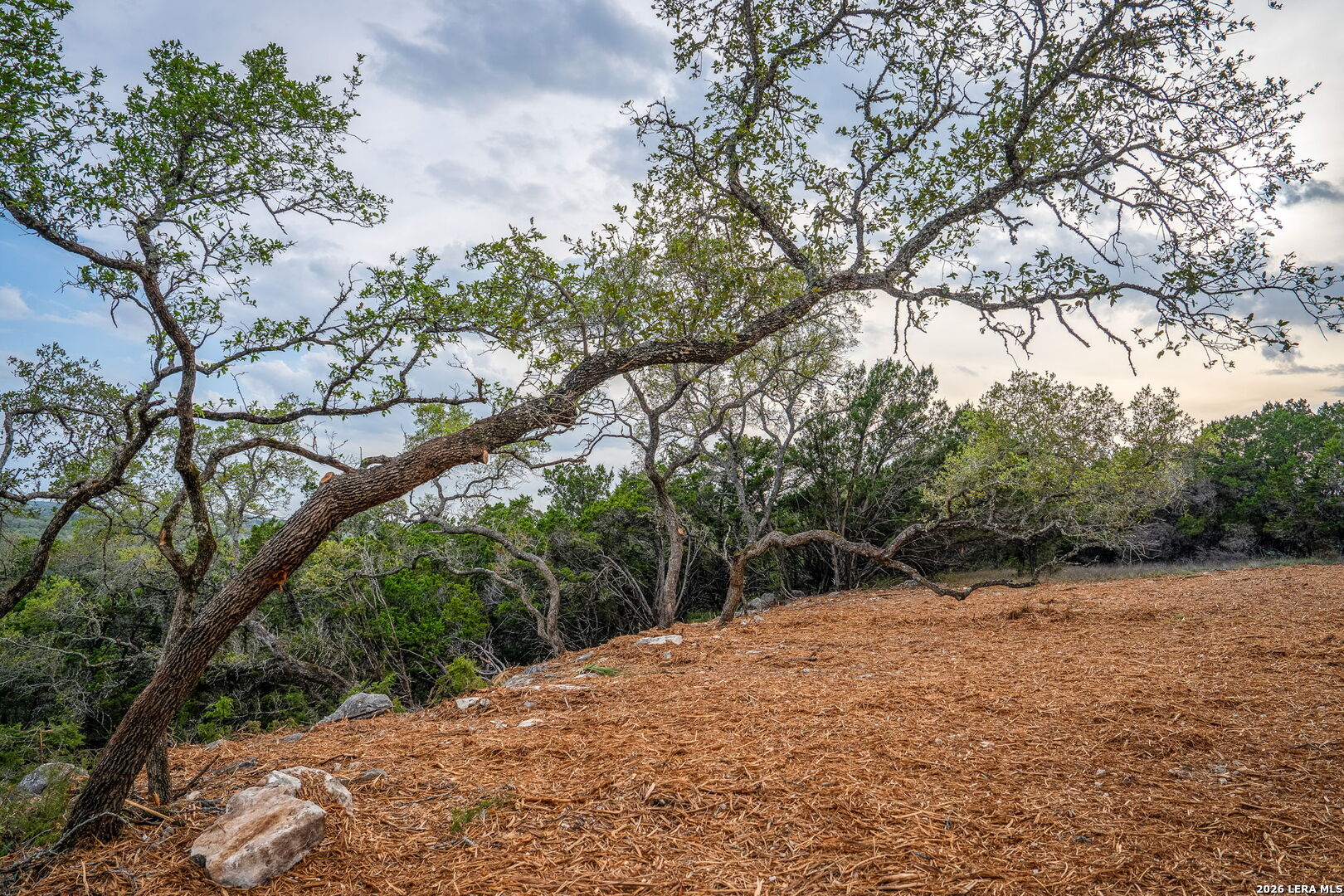 535 Eden Ranch Drive Canyon Lake TX 78133