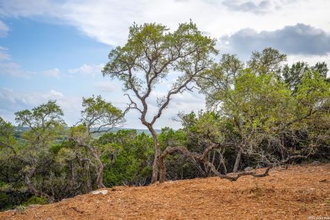 535 Eden Ranch Drive Canyon Lake TX 78133