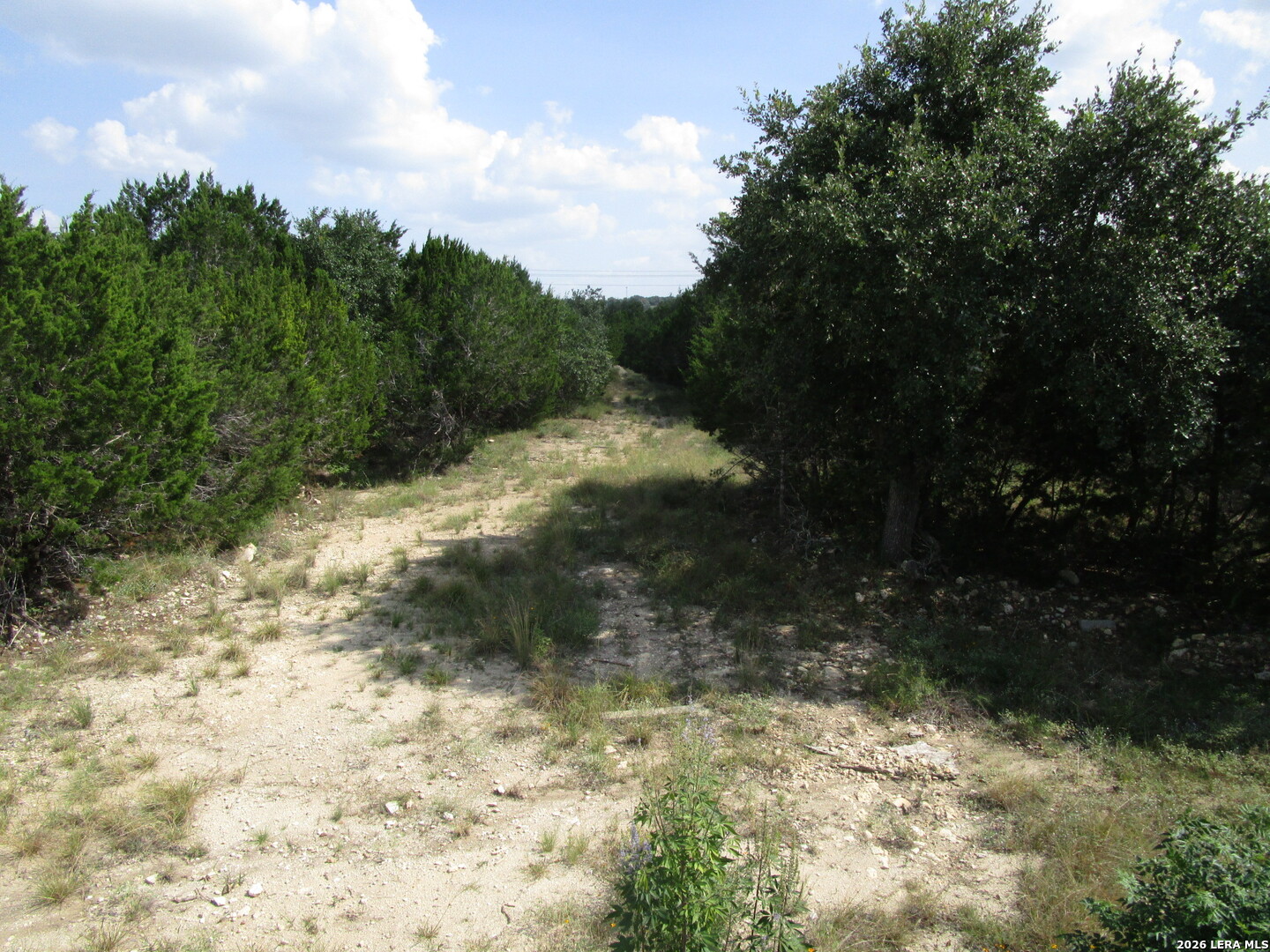 3246 Hawthorne Spring Branch TX 78070