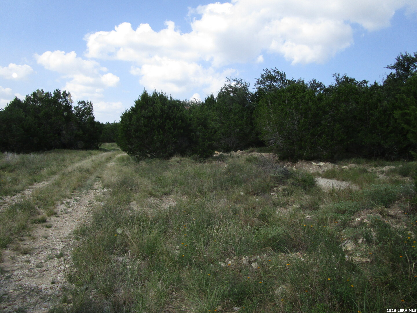 3246 Hawthorne Spring Branch TX 78070