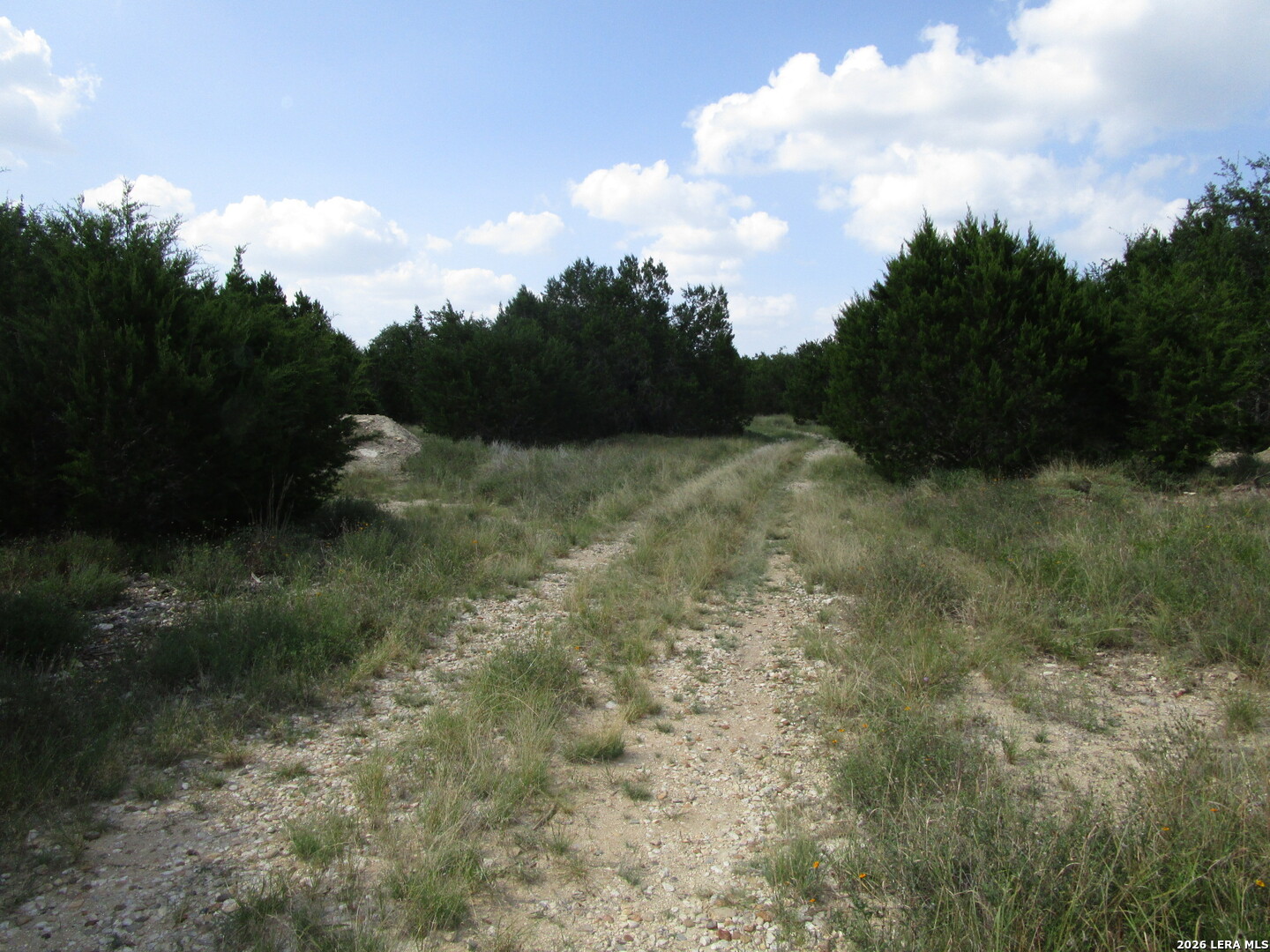 3246 Hawthorne Spring Branch TX 78070