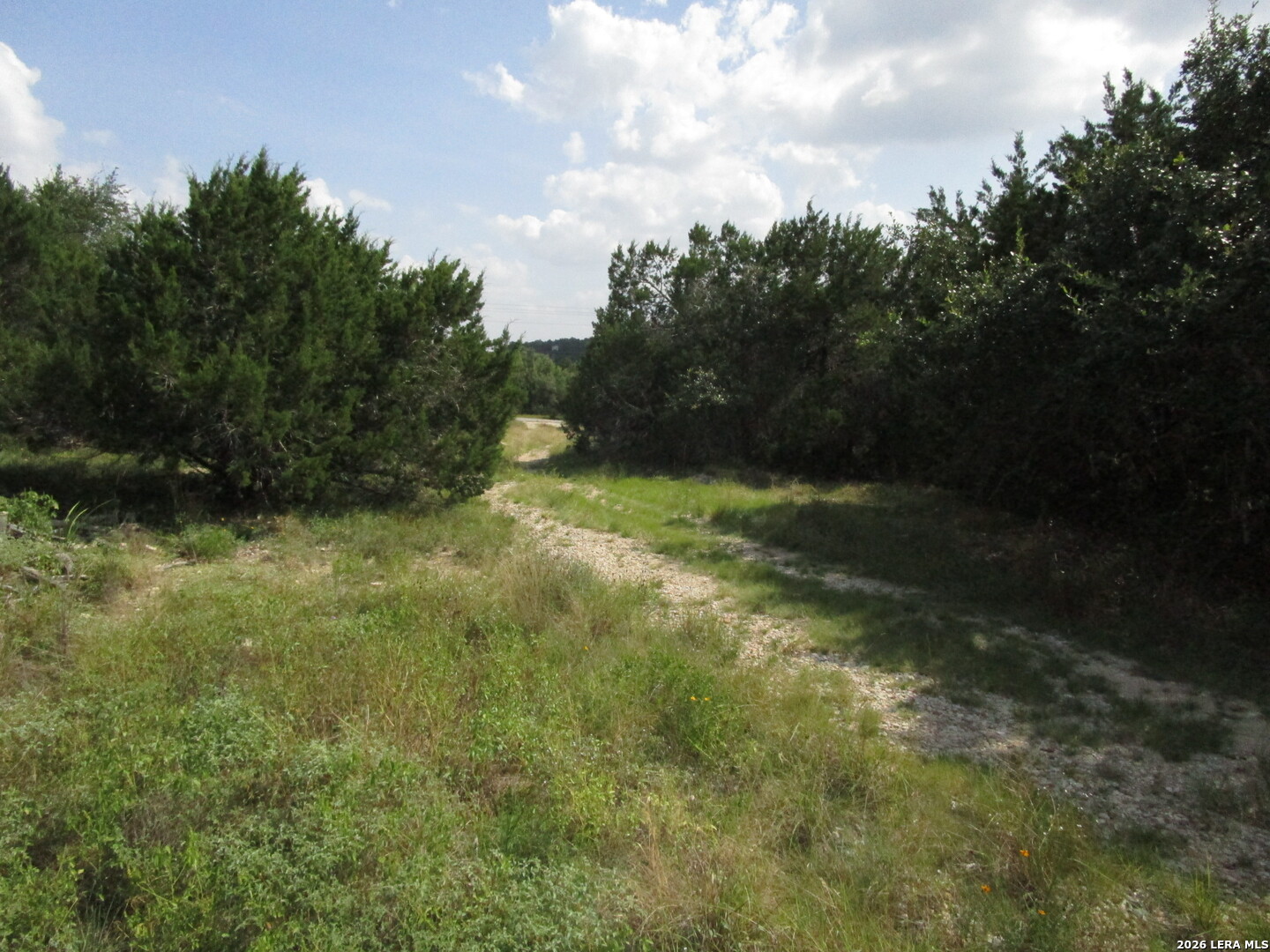 3246 Hawthorne Spring Branch TX 78070