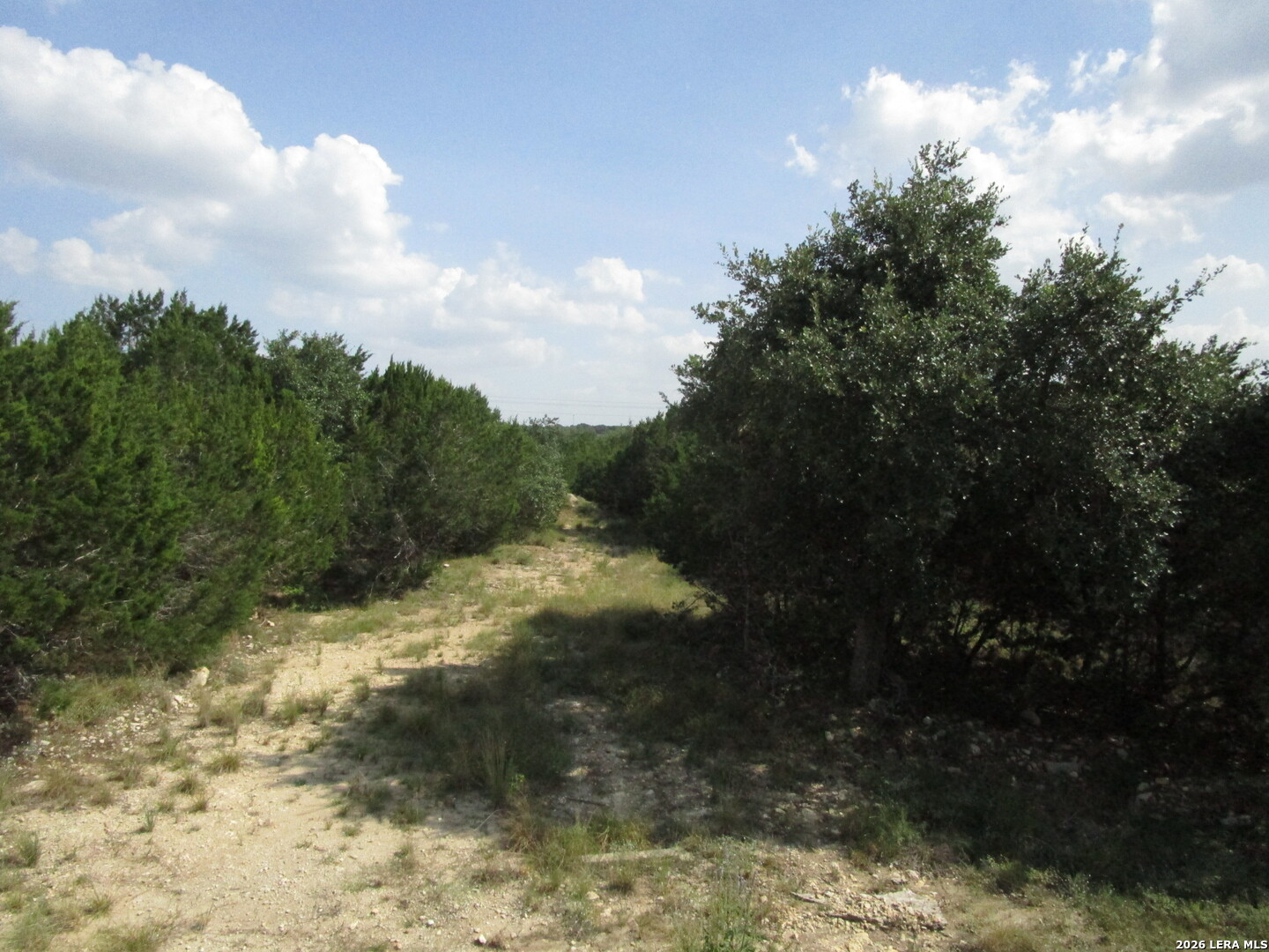 3246 Hawthorne Spring Branch TX 78070