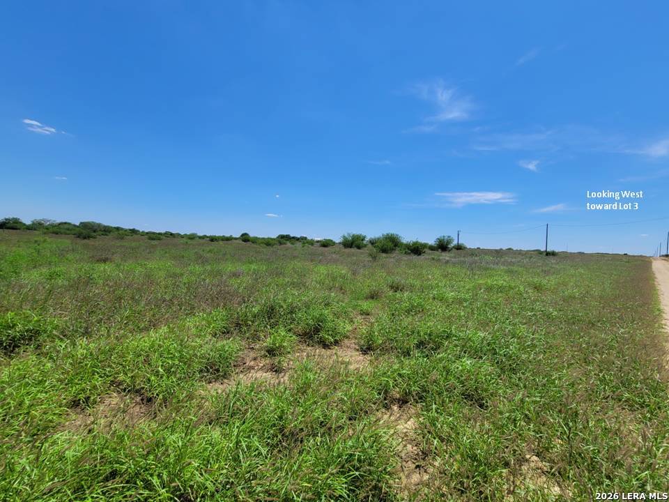 277 Joy Lane Pleasanton TX 78064