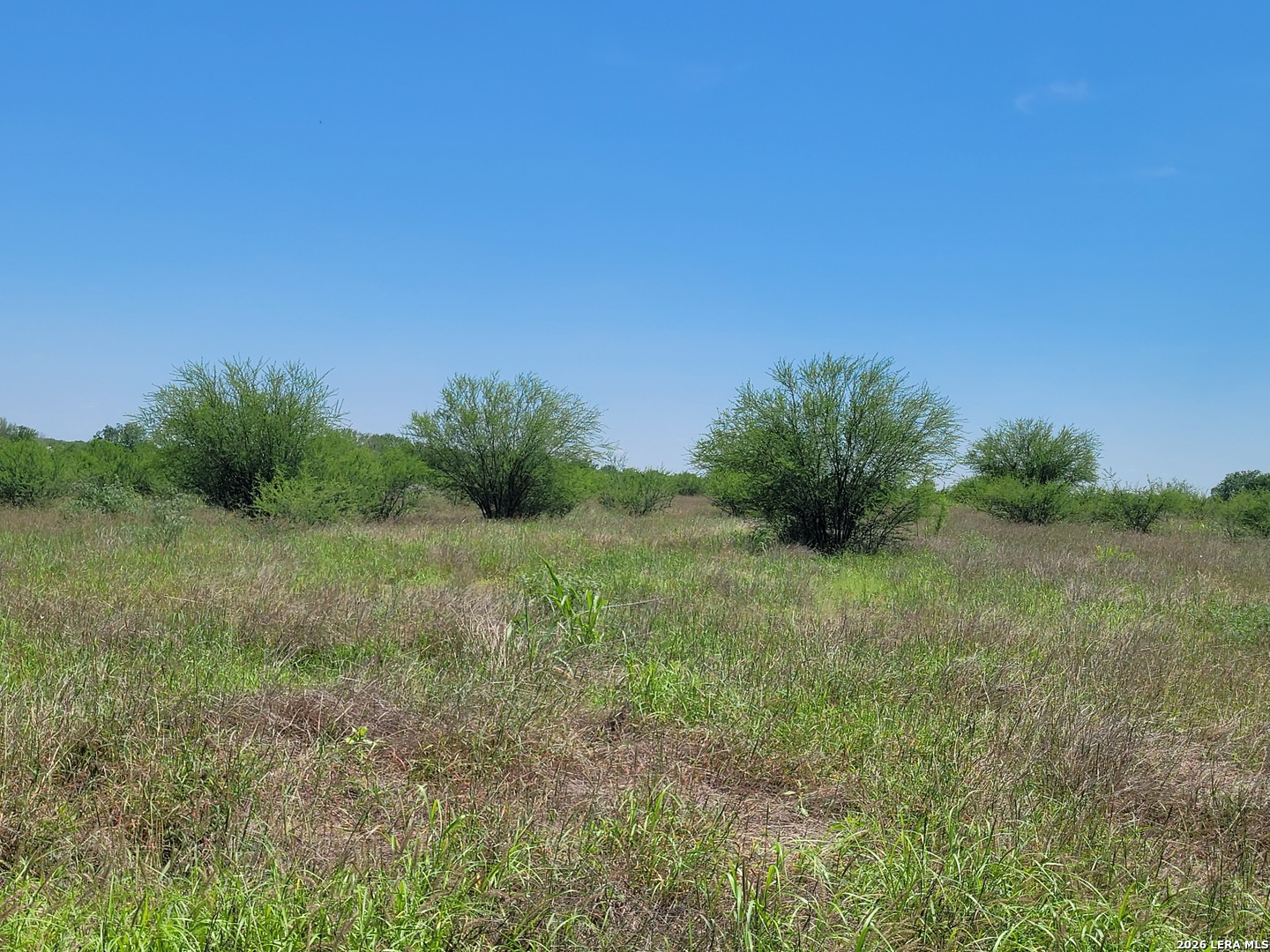 277 Joy Lane Pleasanton TX 78064