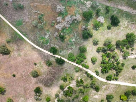 Lot 169 Coldwater Drive Center Point TX 78010