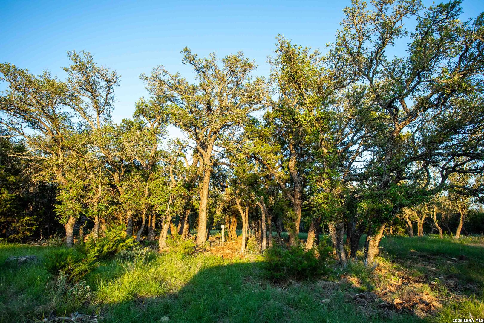 225 NW Lost Man Road Mountain Home TX 78058