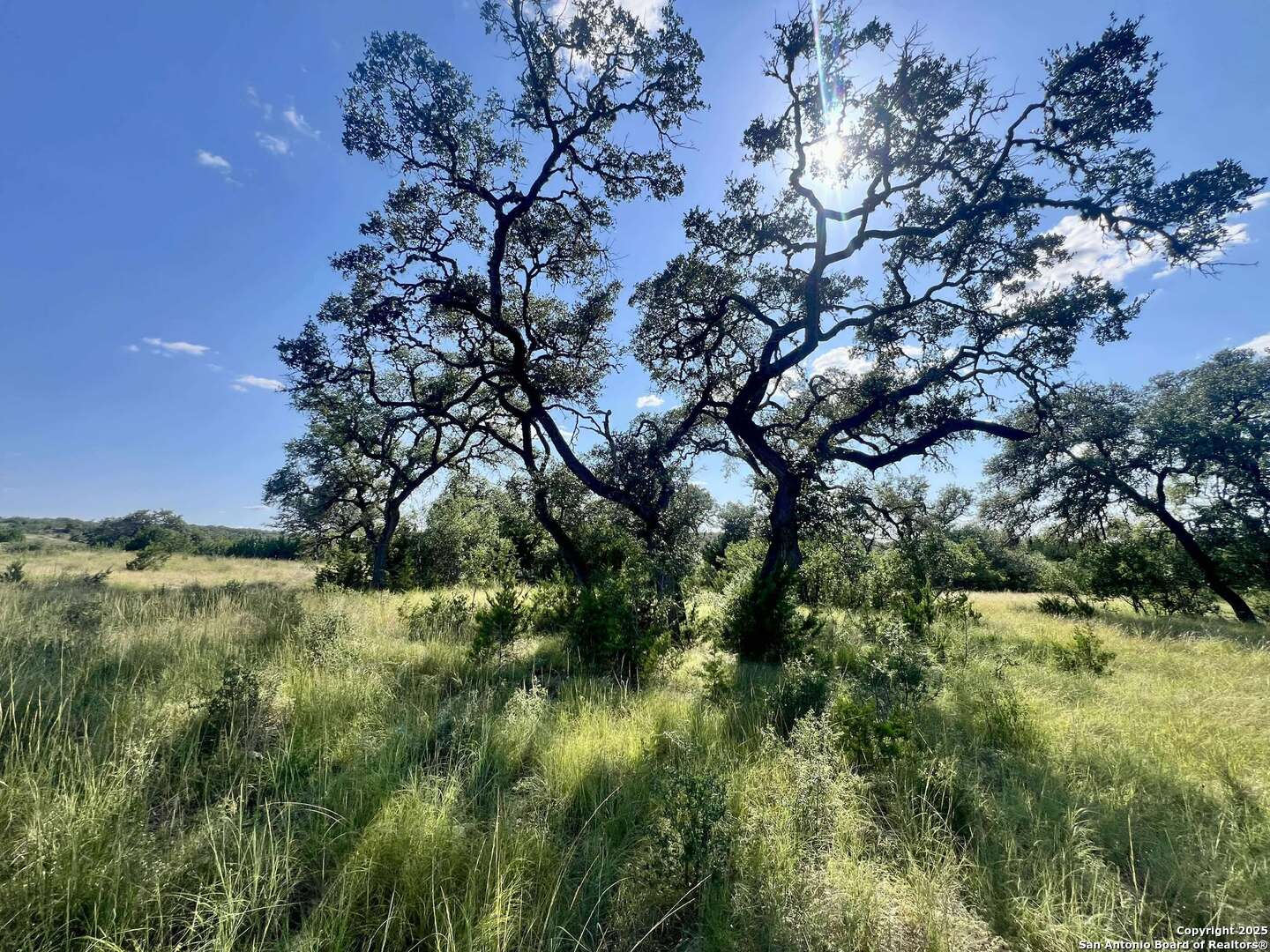 Tract 116 Winans Creek Ranch Bandera TX 78003