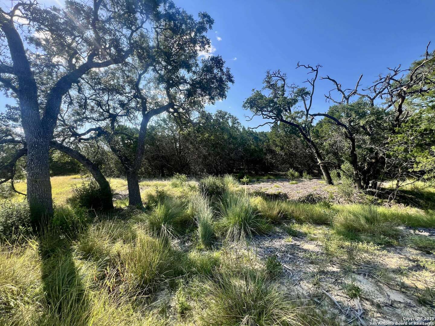 Tract 116 Winans Creek Ranch Bandera TX 78003