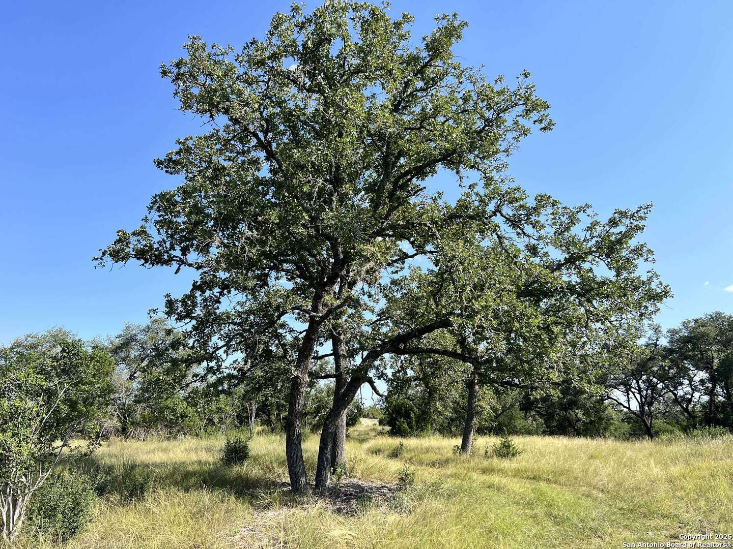 Tract 116 Winans Creek Ranch Bandera TX 78003