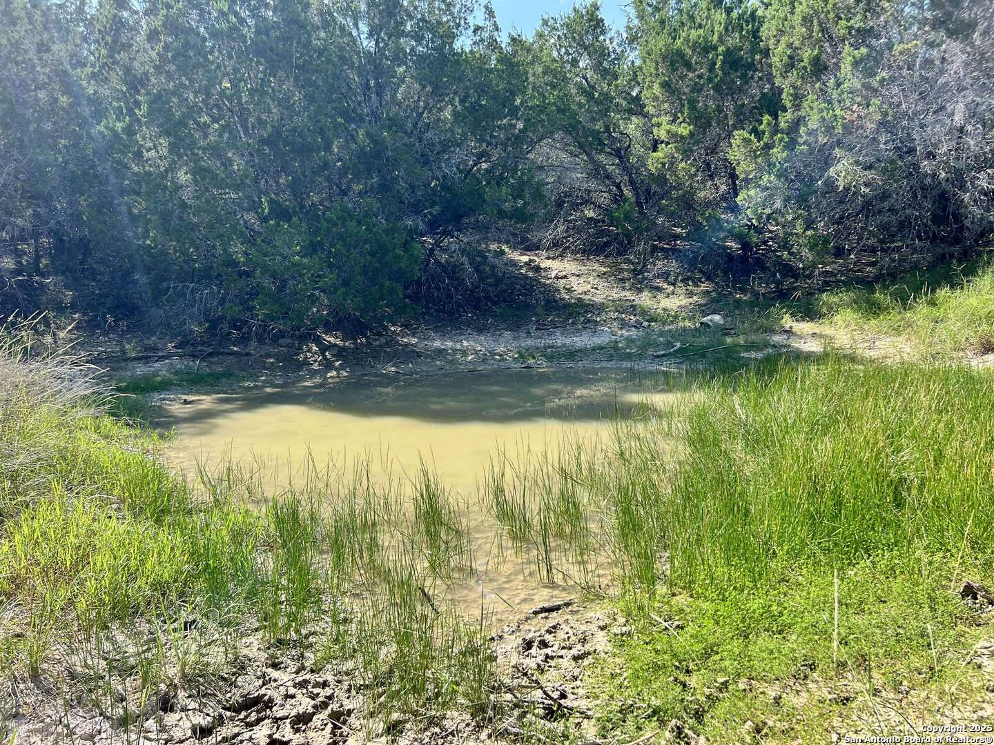 Tract 116 Winans Creek Ranch Bandera TX 78003