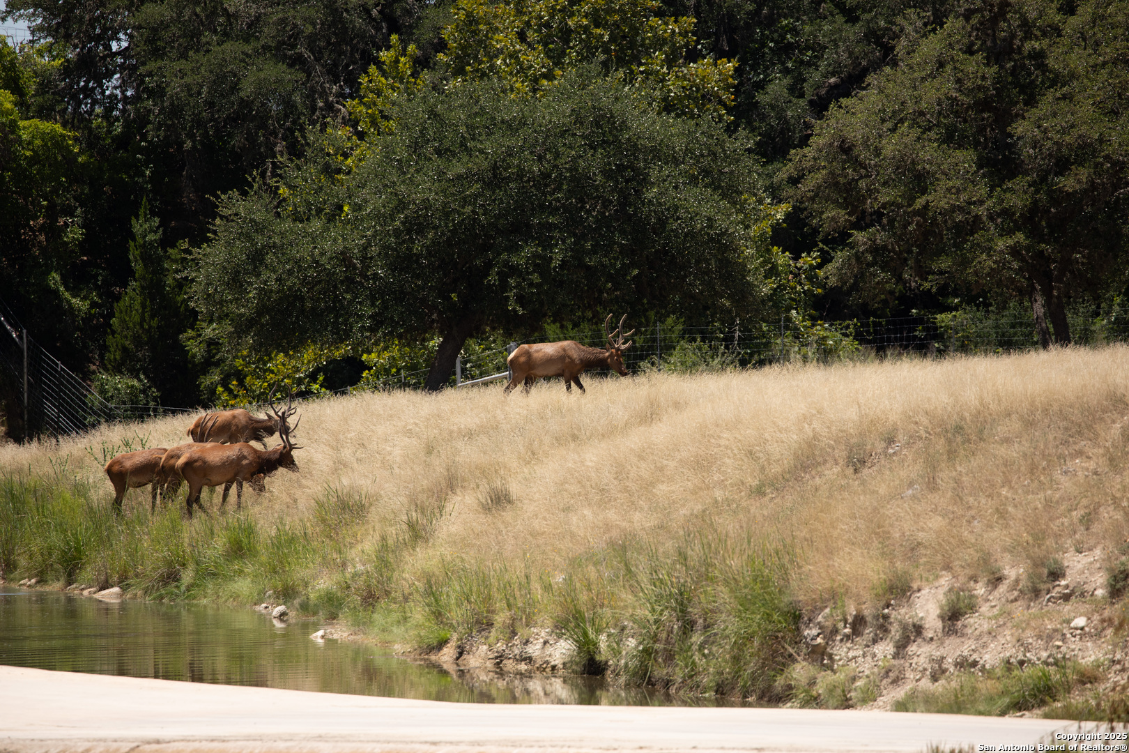 Lot 43 Blackbuck Trail Pipe Creek TX 78063