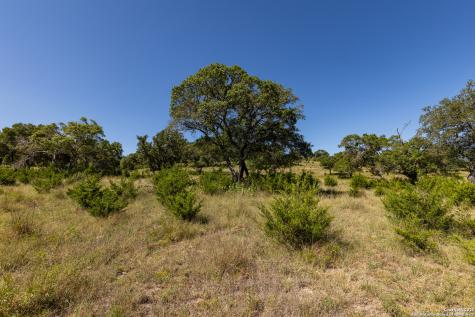 Lot 43 Blackbuck Trail Pipe Creek TX 78063