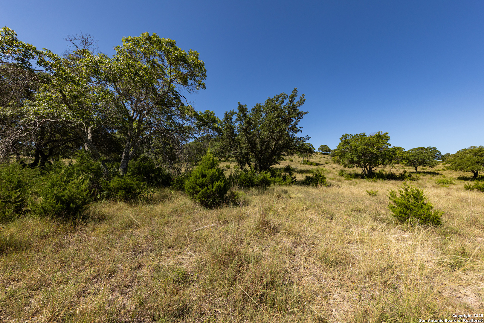 Lot 43 Blackbuck Trail Pipe Creek TX 78063
