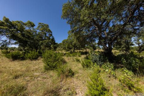Lot 43 Blackbuck Trail Pipe Creek TX 78063