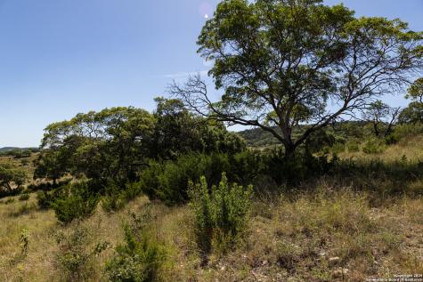 Lot 43 Blackbuck Trail Pipe Creek TX 78063
