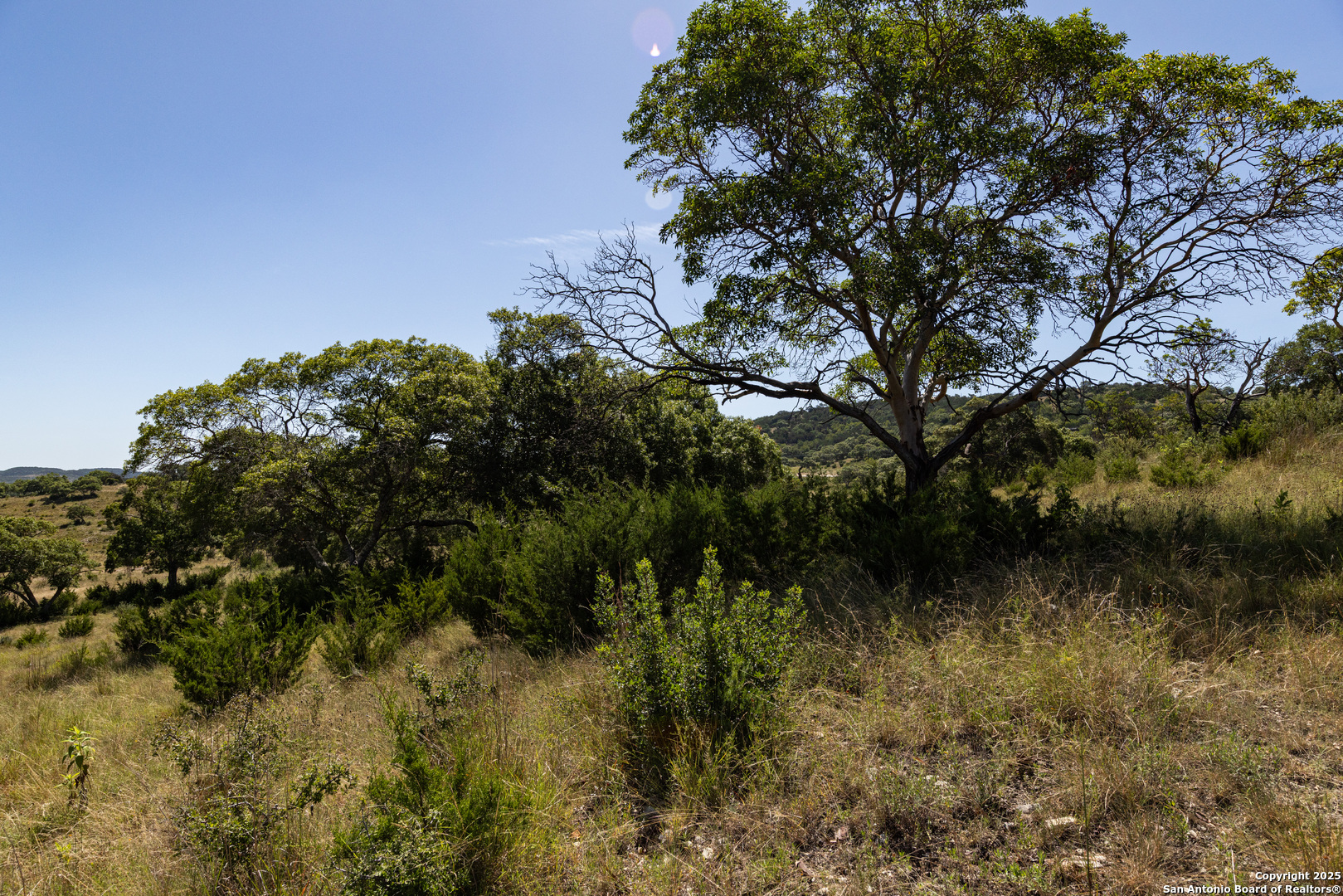 Lot 43 Blackbuck Trail Pipe Creek TX 78063