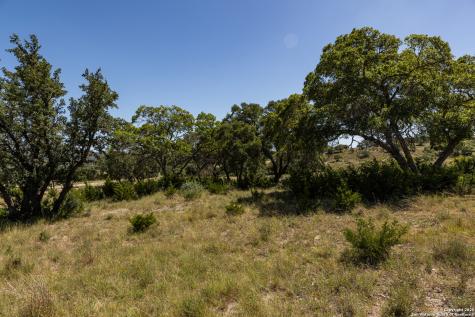 Lot 43 Blackbuck Trail Pipe Creek TX 78063