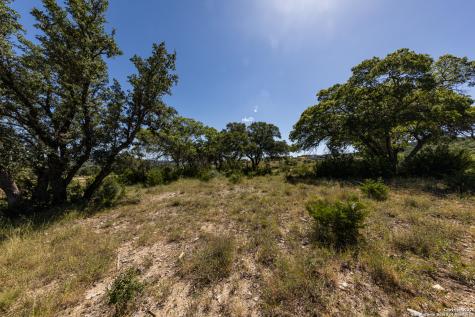 Lot 43 Blackbuck Trail Pipe Creek TX 78063