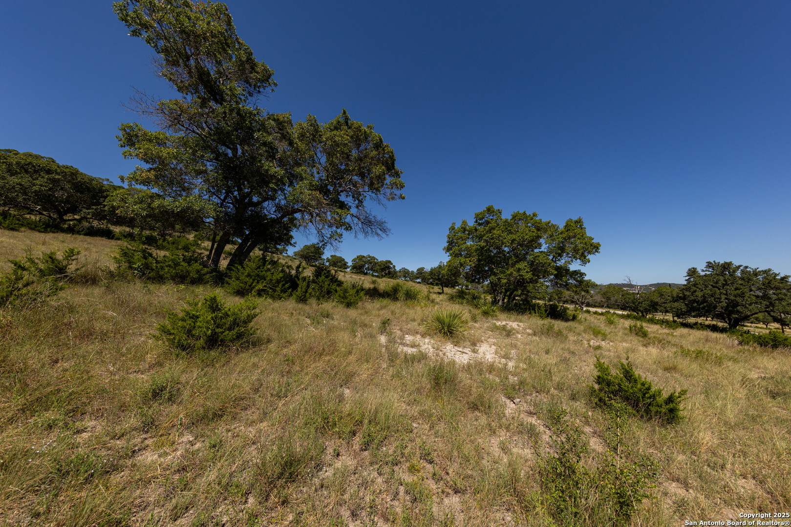 Lot 43 Blackbuck Trail Pipe Creek TX 78063