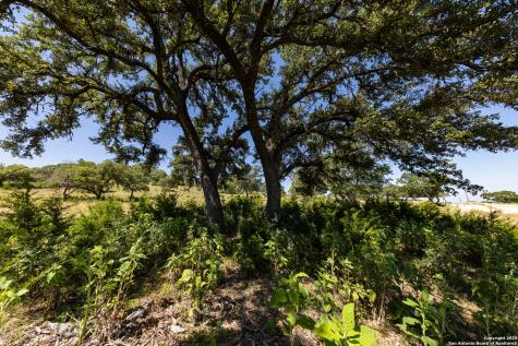 Lot 43 Blackbuck Trail Pipe Creek TX 78063